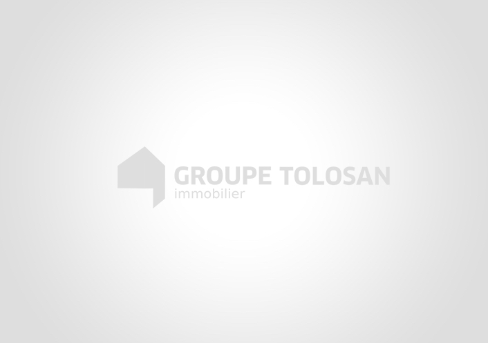 Coupe du monde de rugby Groupe tolosan immobilier